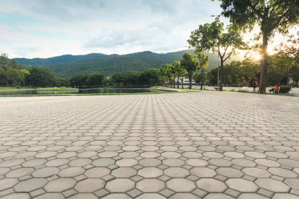 Best Local Driveway Pavers  in Ransom Canyon, TX